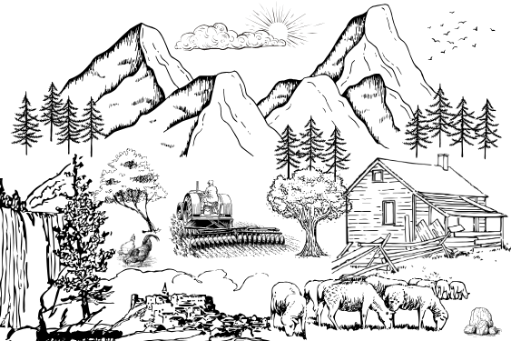 Environment & Ecology